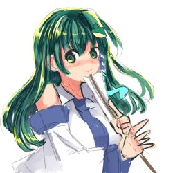 kochiya sanae from touhou