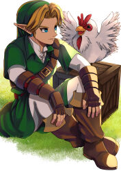 cucco from the legend of zelda by mi9clous