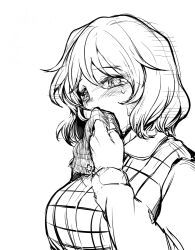 kazami yuuka from touhou