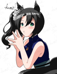 satono crown (umamusume) from umamusume by kamitsuki shion