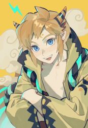 link from skyward sword
