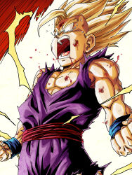 son gohan from dragon ball