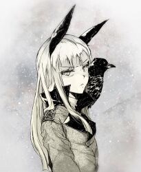 world witches series fan art