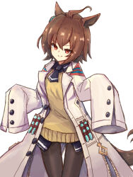 agnes tachyon (tach-nology) (umamusume) from umamusume