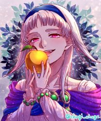 sierra mikain from gensou suikoden
