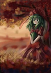 kagiyama hina from touhou