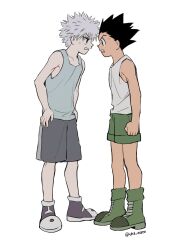 gon freecss from hunter x hunter