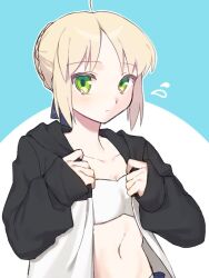 artoria pendragon (fate) from fate/stay night