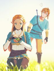 link from the legend of zelda by sophie (693432)