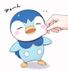 piplup from pokemon