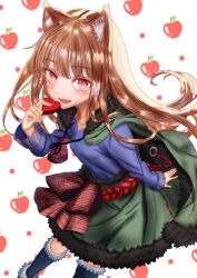 holo from spice and wolf