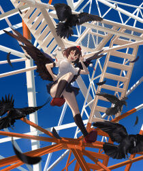 shameimaru aya from touhou