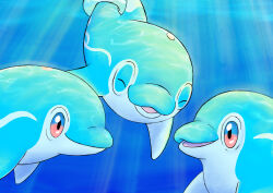 finizen from pokemon