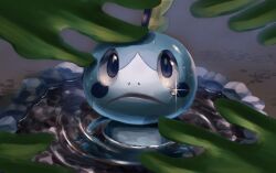 sobble from pokemon