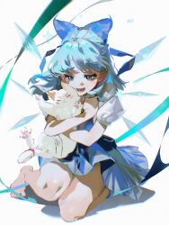 cirno from touhou