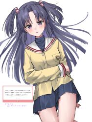 ichinose kotomi from clannad