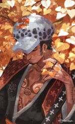 trafalgar law from one piece