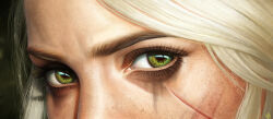 ciri from the witcher (series)