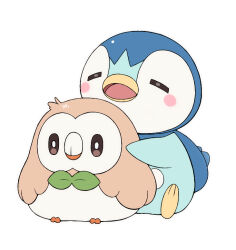 piplup from pokemon