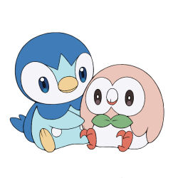 piplup from pokemon