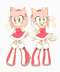 amy rose from sonic (series)