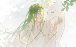 fate/strange fake fan art