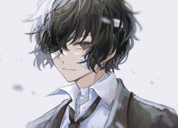 dazai osamu (bungou stray dogs) from bungou stray dogs