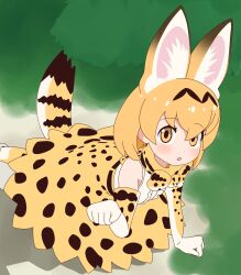 serval (kemono friends) from kemono friends