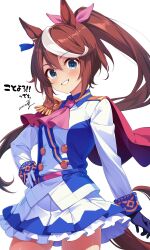 tokai teio (umamusume) from umamusume