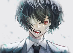 dazai osamu (bungou stray dogs) from bungou stray dogs