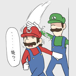 luigi from super mario bros.