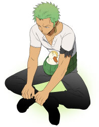roronoa zoro from one piece