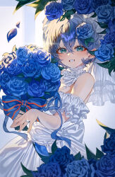 belle (zenless zone zero) from zenless zone zero