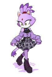 blaze the cat from sonic (series)