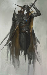 d (vampire hunter d) from vampire hunter d