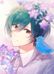 kirishima ikuya from free! by rayu