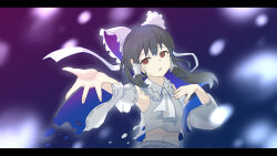 hakurei reimu from concealed the conclusion