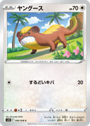yungoos from pokemon by katou oswaldo