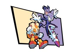 blaze the cat from sonic (series)