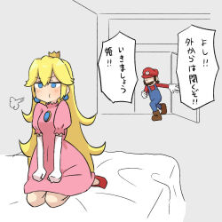 mario from super mario bros.