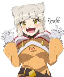 nia (xenoblade) from xenoblade chronicles (series)