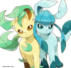 glaceon from pokemon