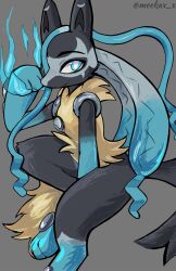 lucario from pokemon