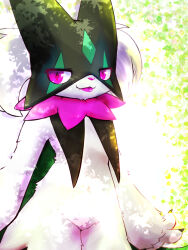 meowscarada from pokemon