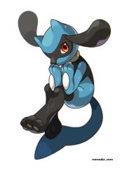 riolu from pokemon
