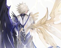 phainon (honkai: star rail) from honkai: star rail