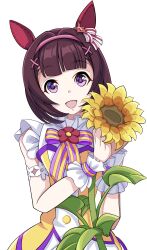 nishino flower (umamusume) from umamusume