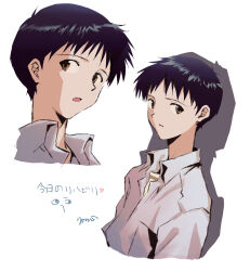 ikari shinji from neon genesis evangelion