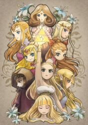 princess zelda from hyrule warriors