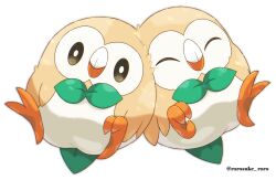 rowlet from pokemon